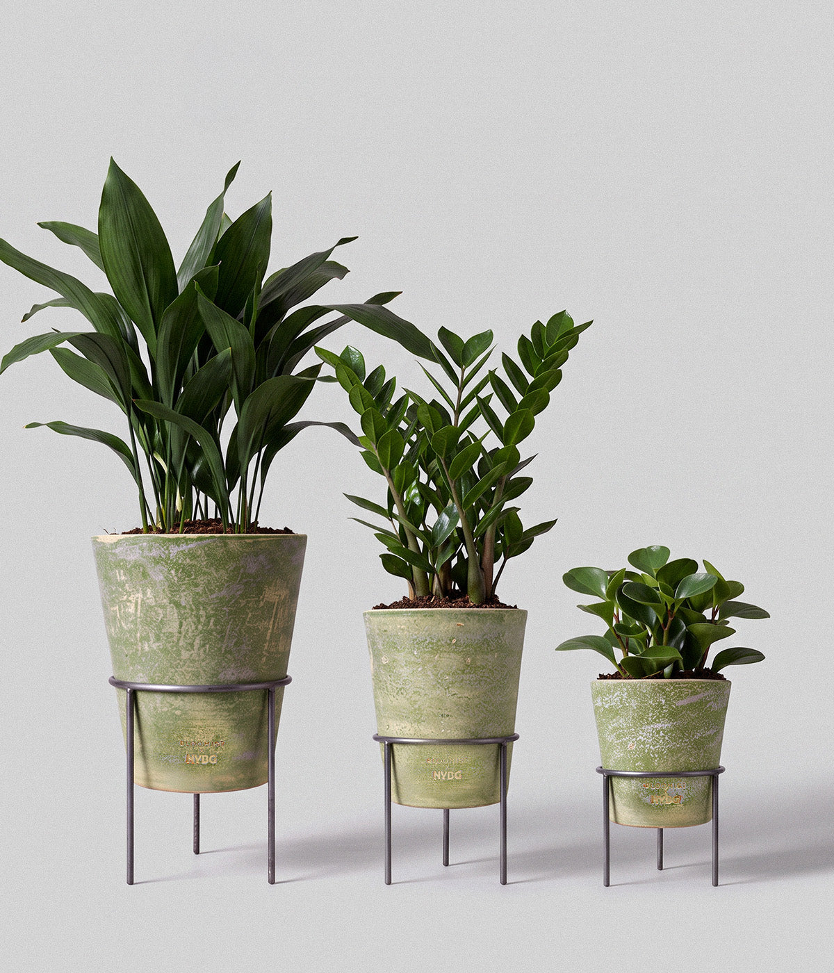 Three Garden Sage planters in graduated sizes displayed on metal stands with assorted leafy green houseplants