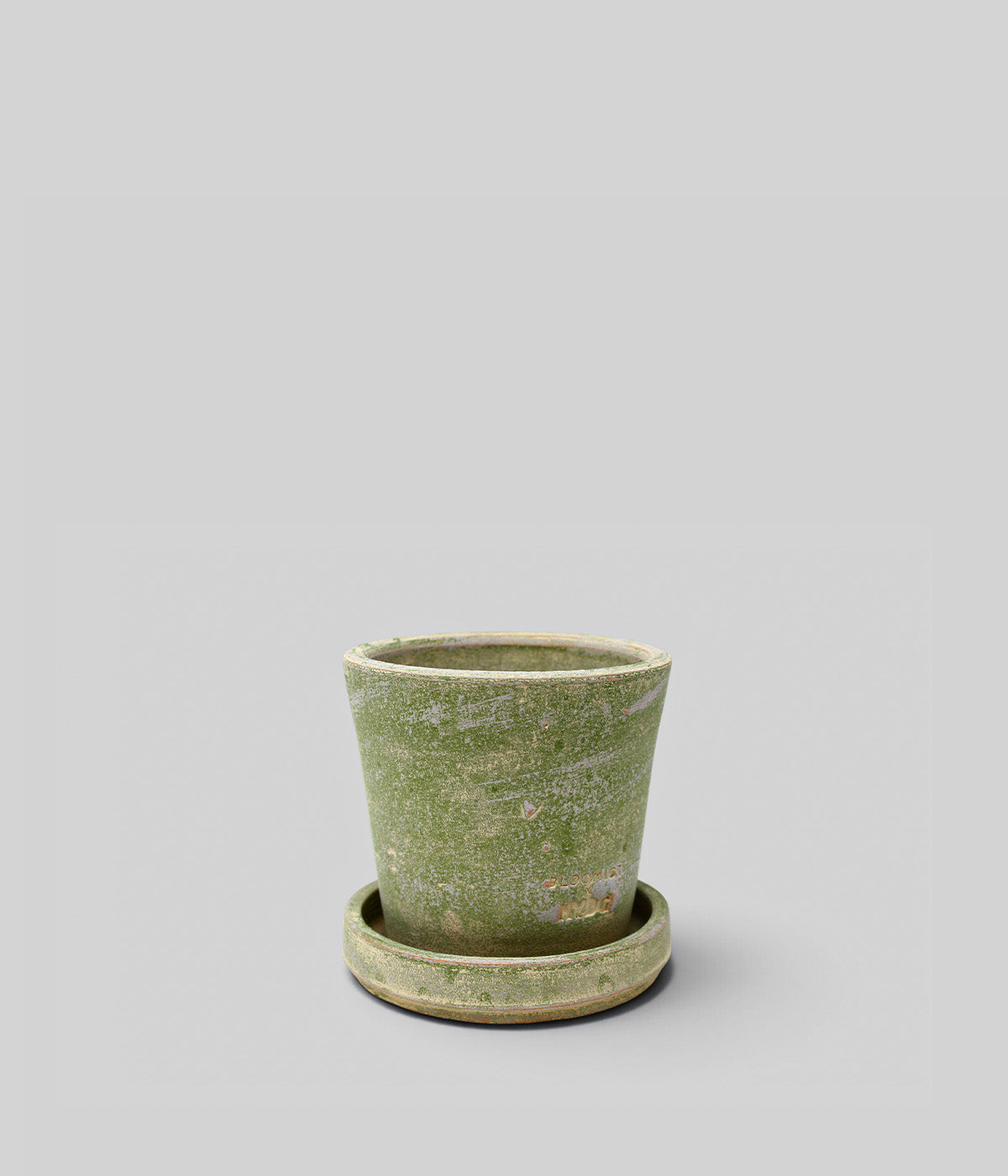 Small Garden Sage terra cotta planter with matching tray and impressed Bloomist x NYBG branding