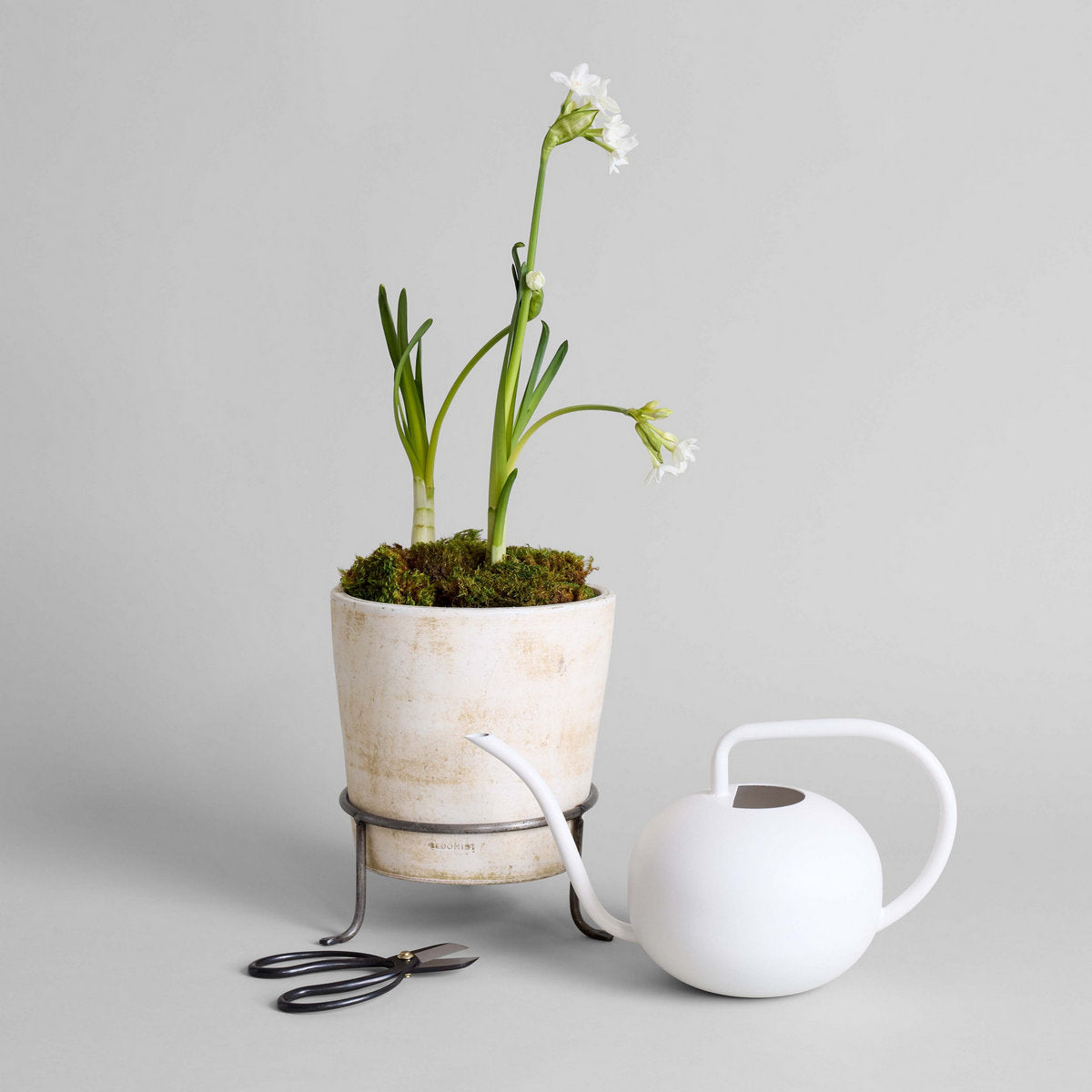 Bloomist Beatrix Watering Can - Thumbnail 2