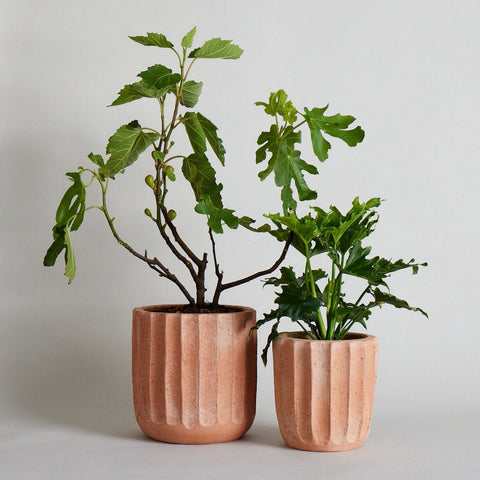 house plant planter Fluted Planter Handmade Terra Cotta Pot