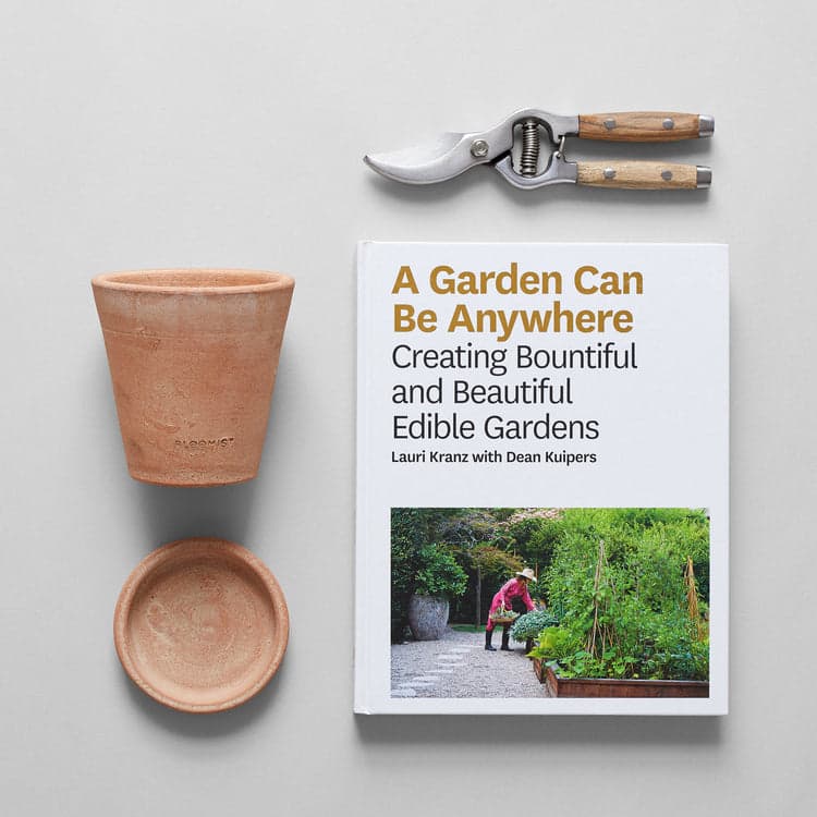 A Garden Can Be Anywhere - Bloomist