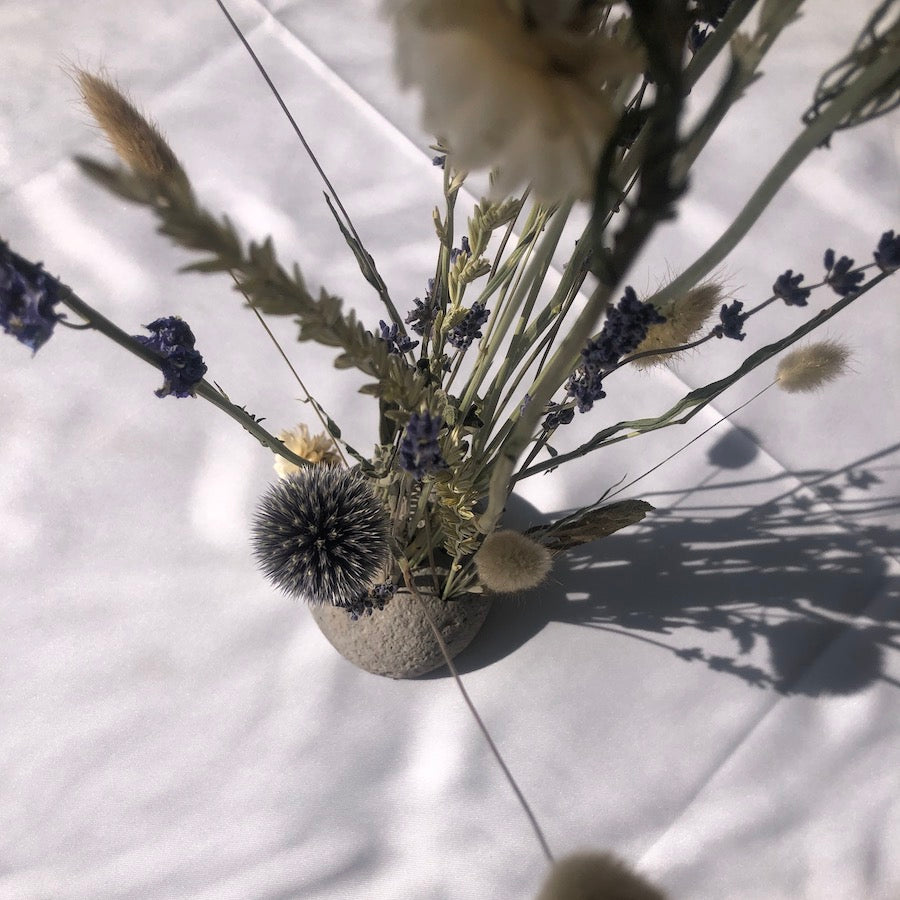 Dried Globe Thistle