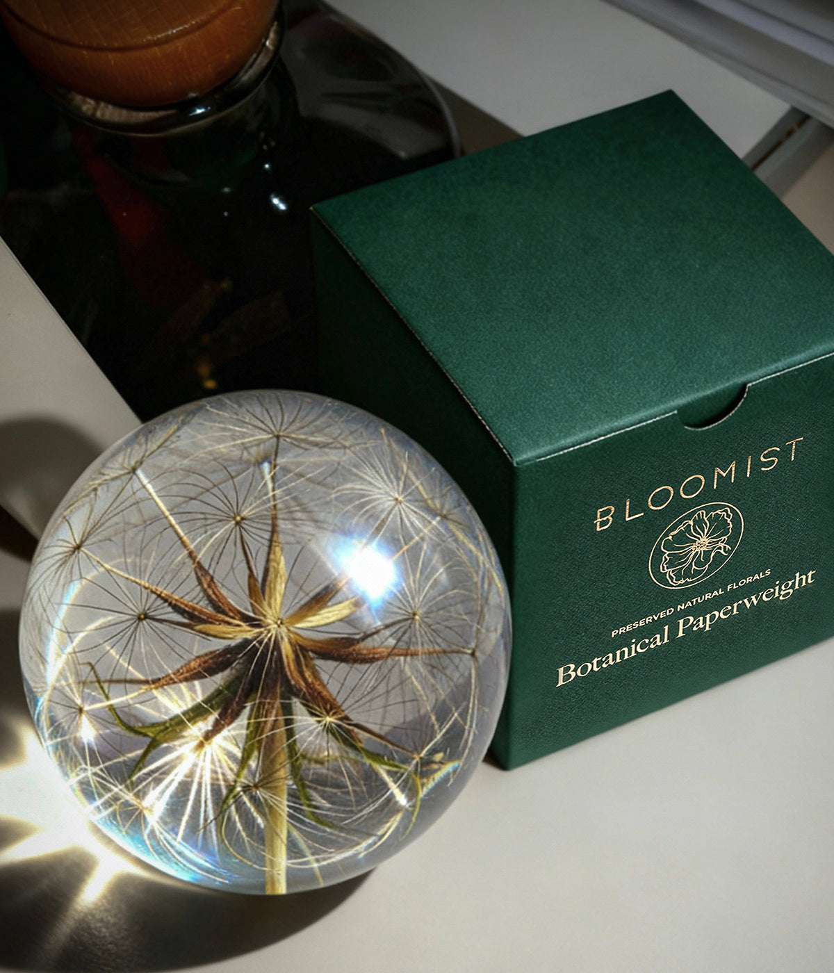 Real Goatsbeard Flower Paperweight | Resin Paperweight