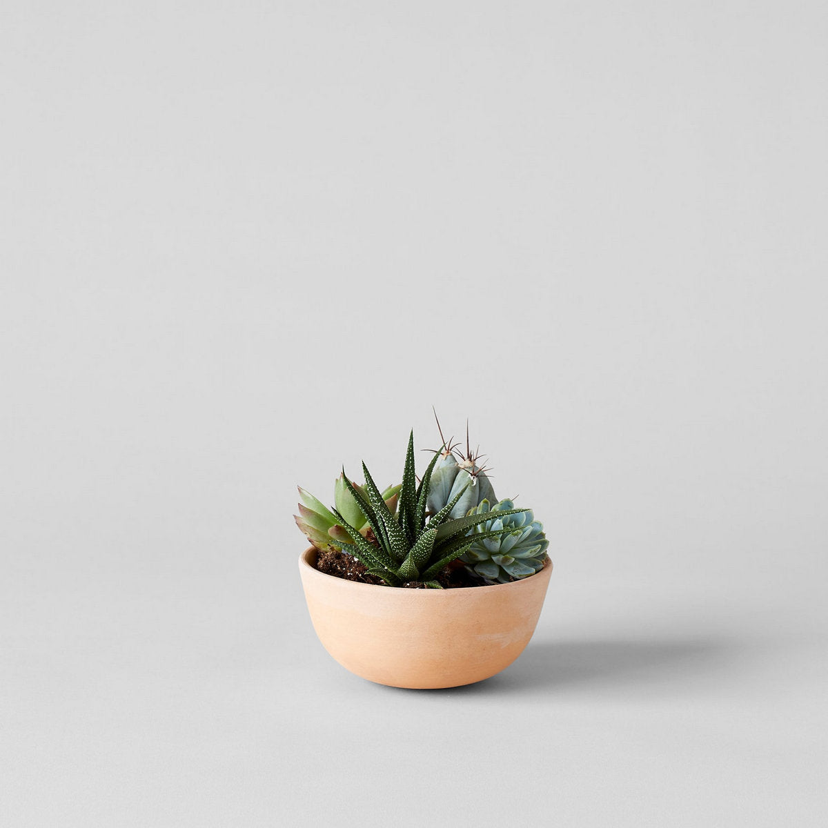 Half Sphere Terra Cotta Planter - Bloomist