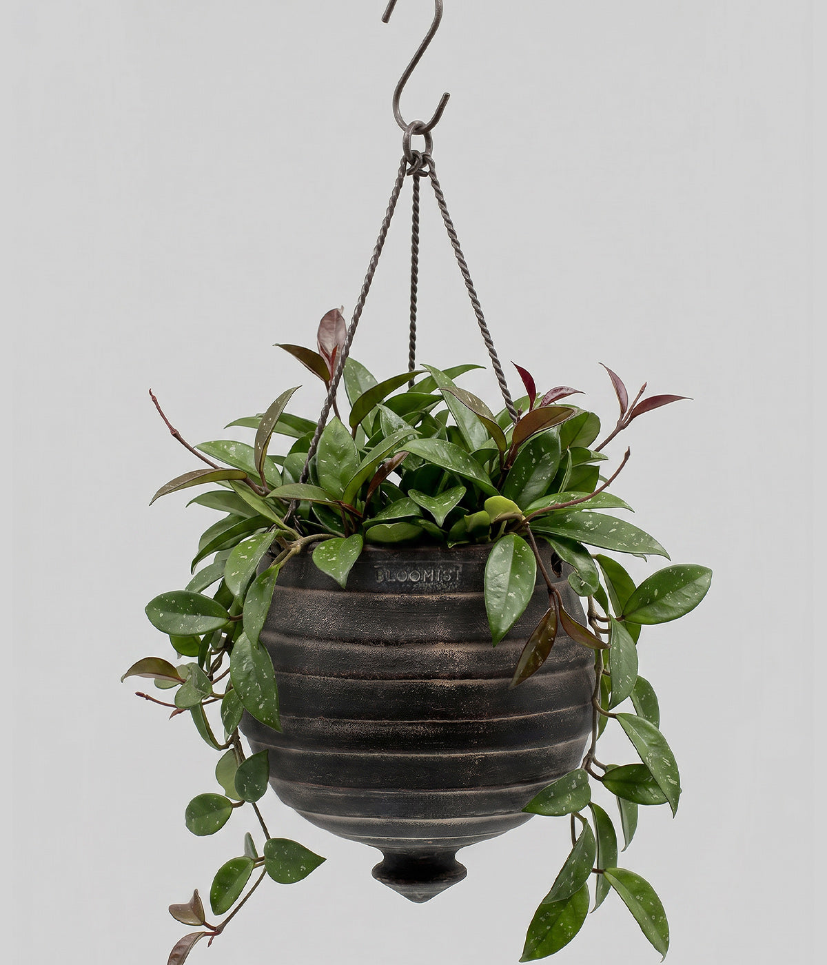 Terracotta Ridge Hanging Planter, Dark Charcoal Wash