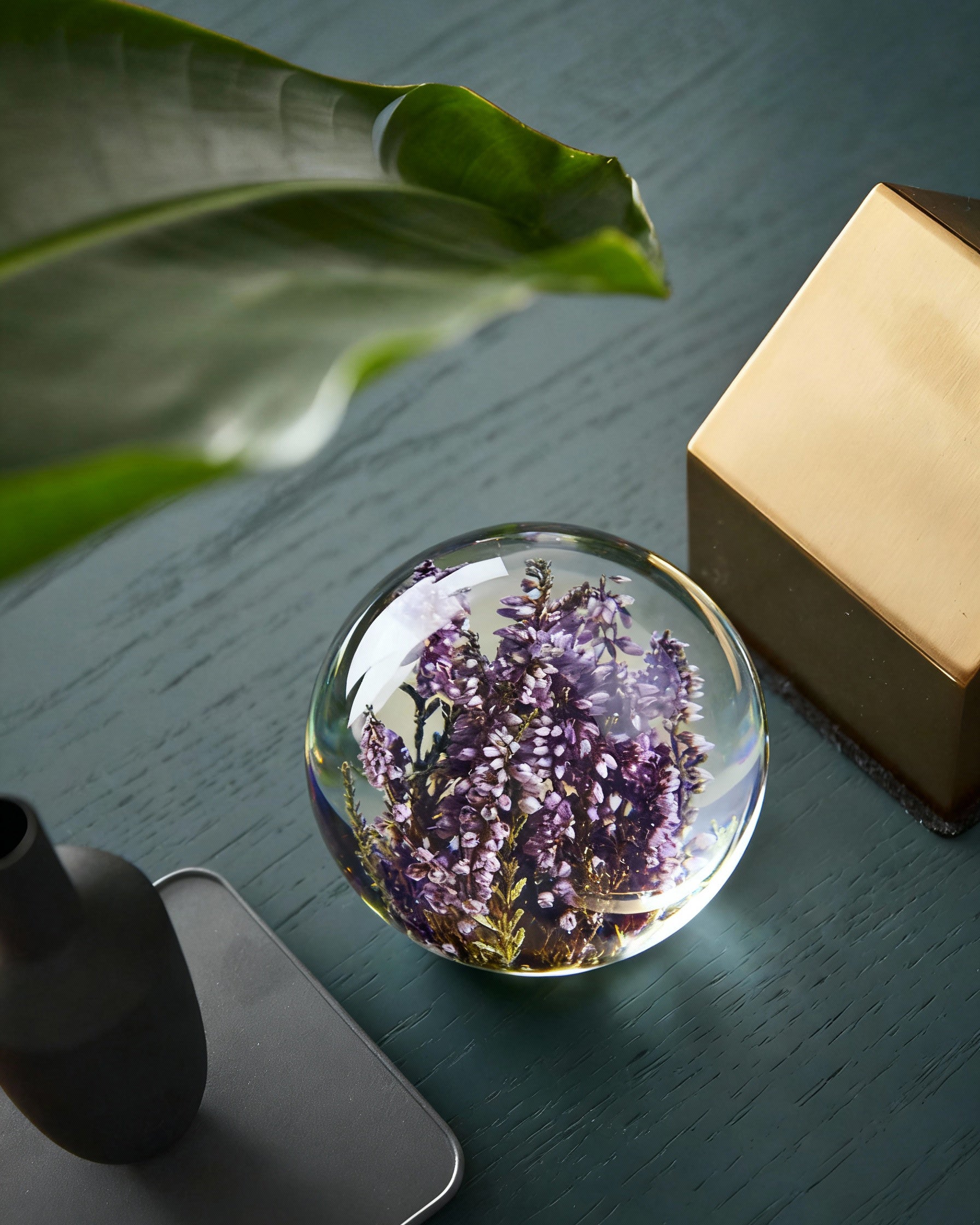 Botanical glass paperweight with preserved heather flowers displayed on a teal tabletop next to a plant leaf and golden box