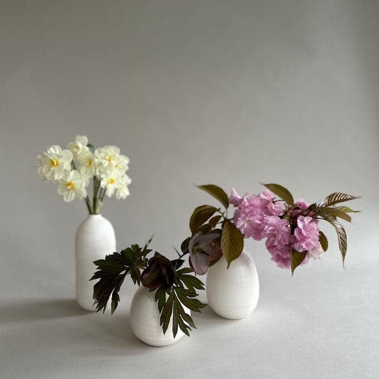 Stoneware Bud Vase Collection, White - Bloomist