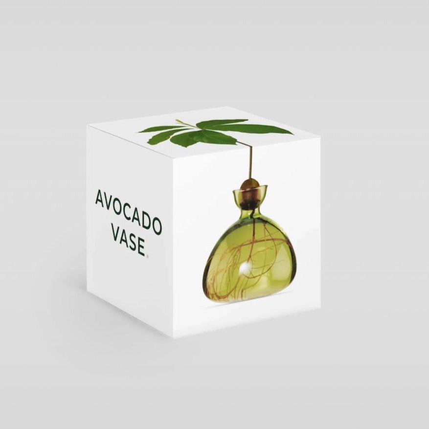 Avocado Vase - Bloomist