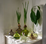 Acorn Vase - Bloomist