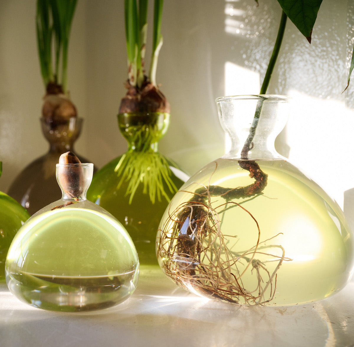 Ilex Studio Vase