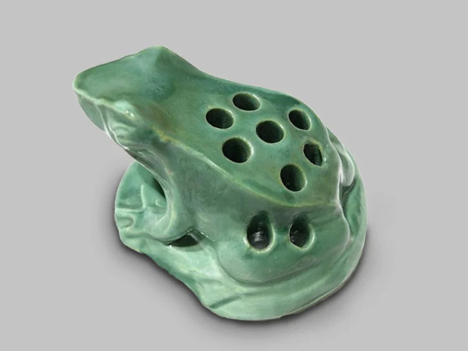 Learn About A Whole Different Species Of Frog