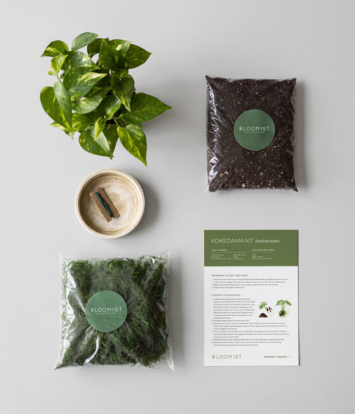 DIY Kokedama Kit