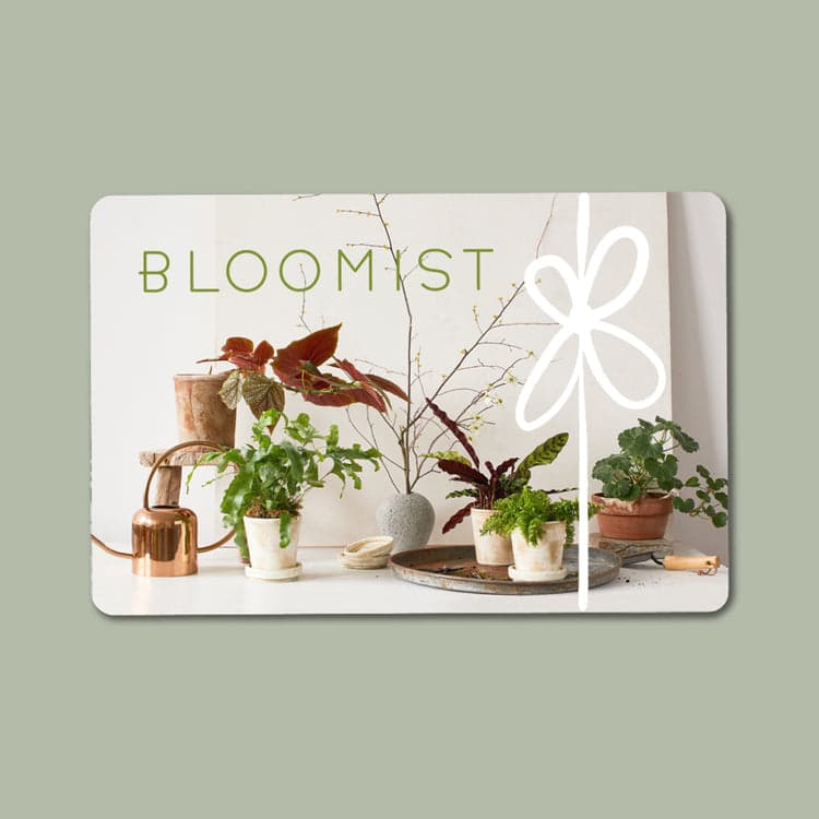 Bloomist E-Gift Card - Bloomist