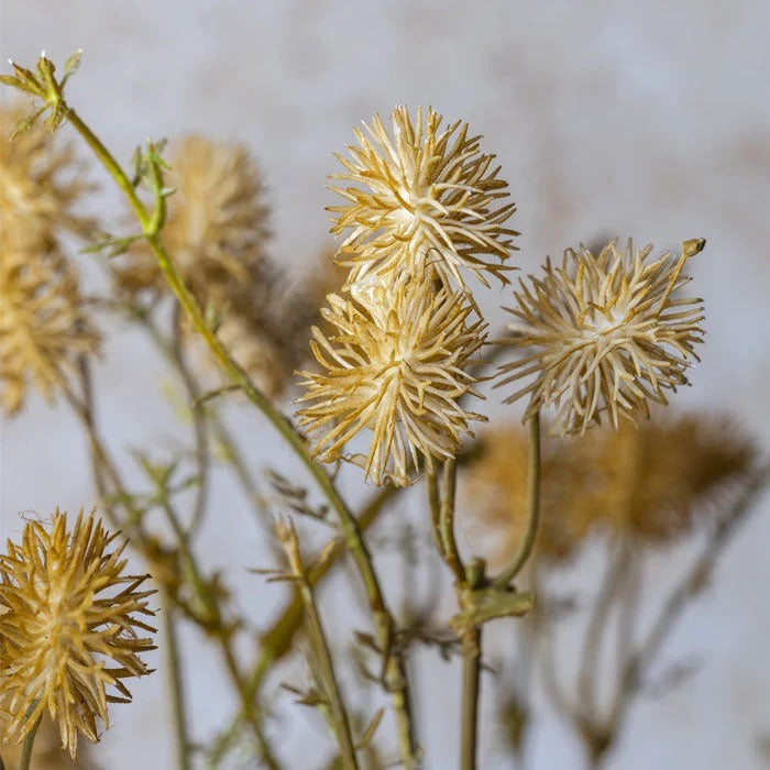 Artificial Meadow Pom Pom stem with honeyed pom pom flower heads.
