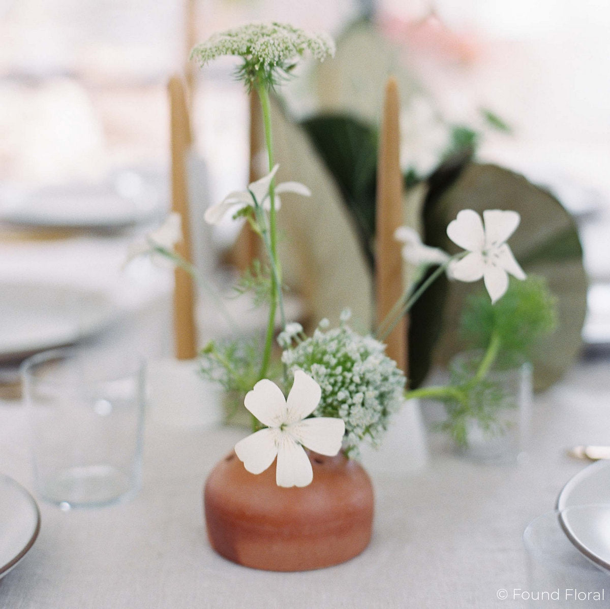 Terra Cotta Frog Vases - Bloomist