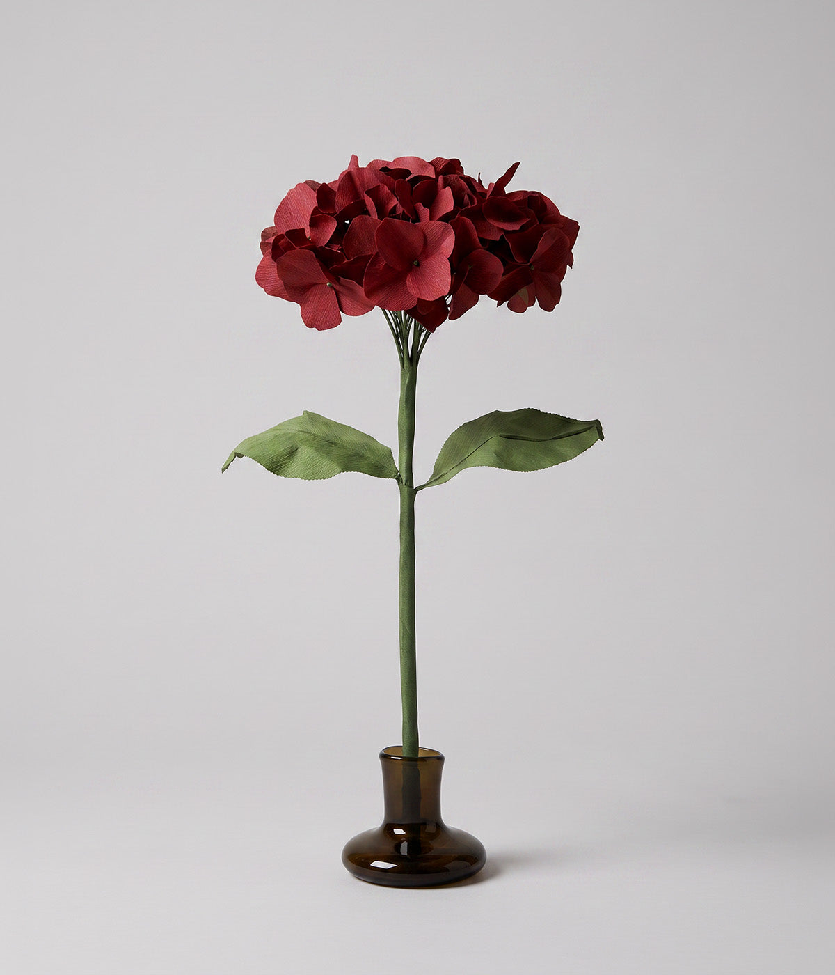 Nightfall paper hydrangea with deep burgundy florets and green leaves on a mouth-blown glass stand