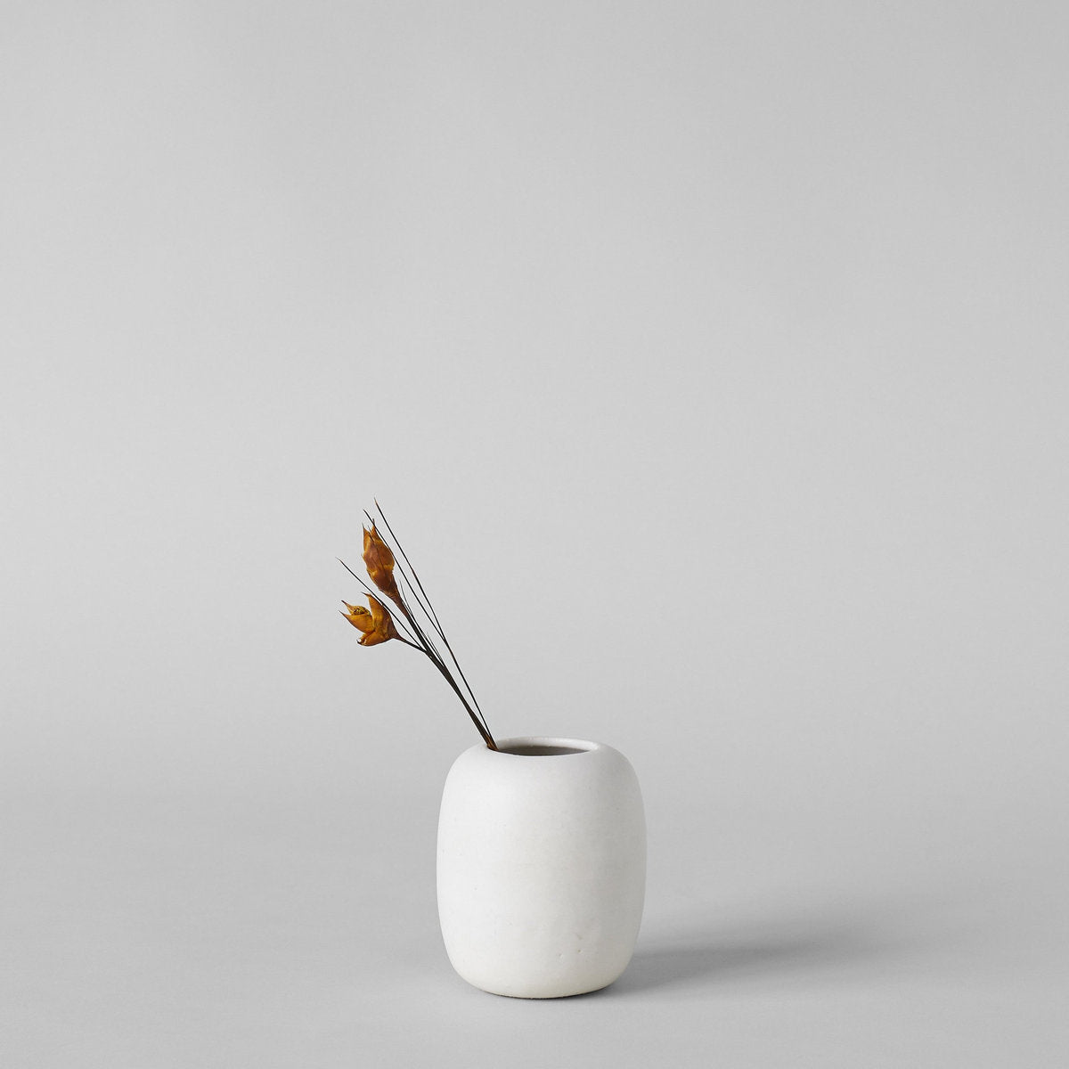 Oval Vase In Eggshell - Bloomist