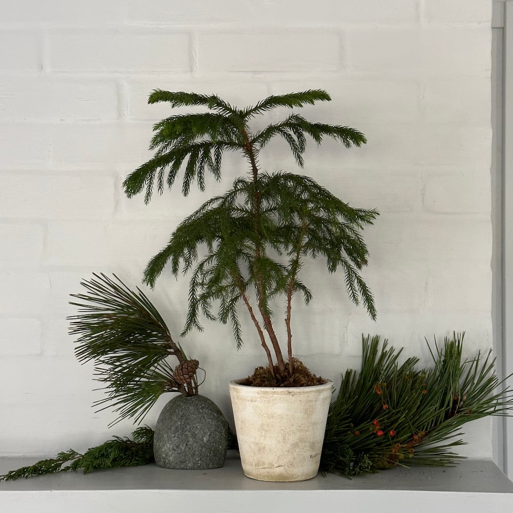 Beach Stone Vase - Bloomist