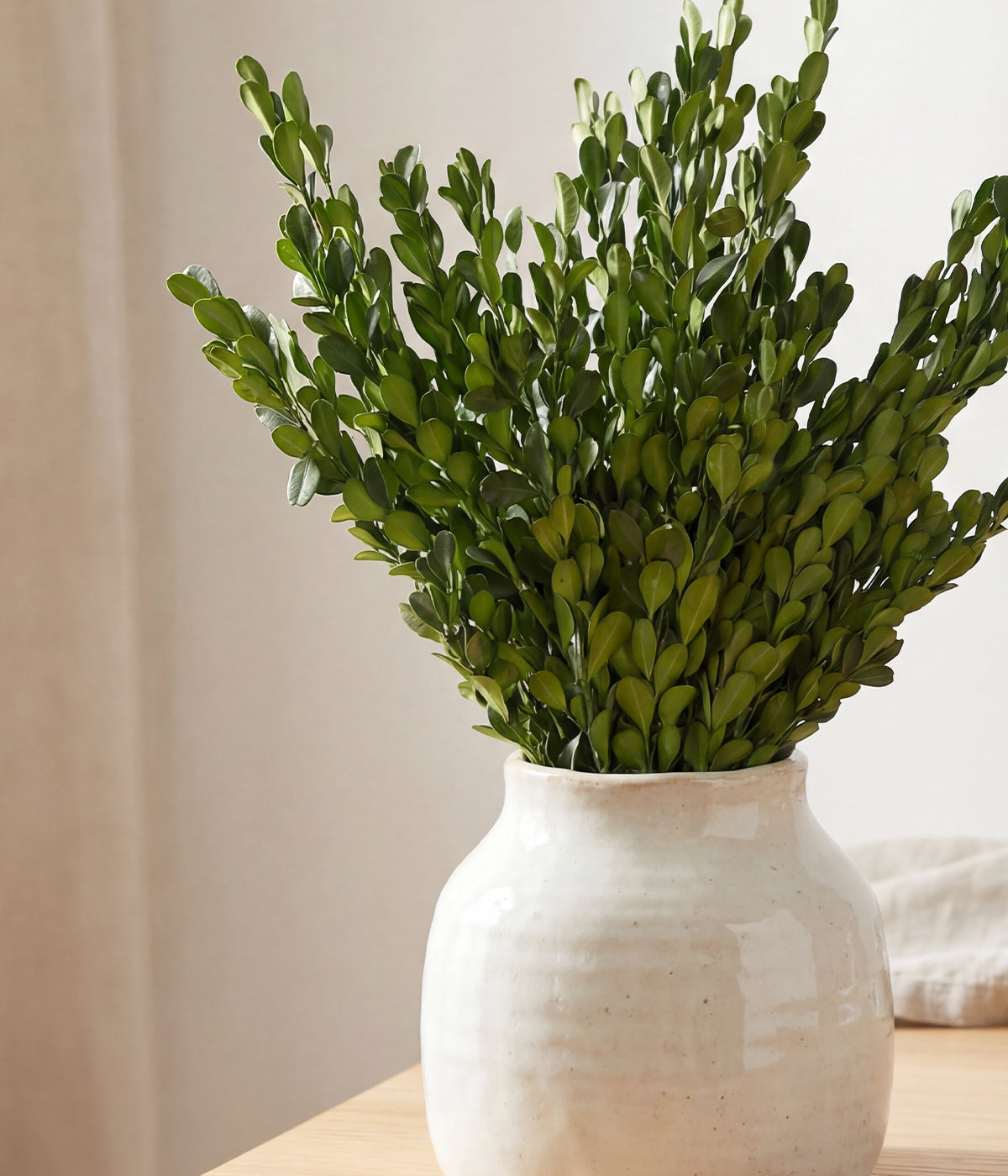 Preserved boxwood arranged in white ceramic vessel on wood surface