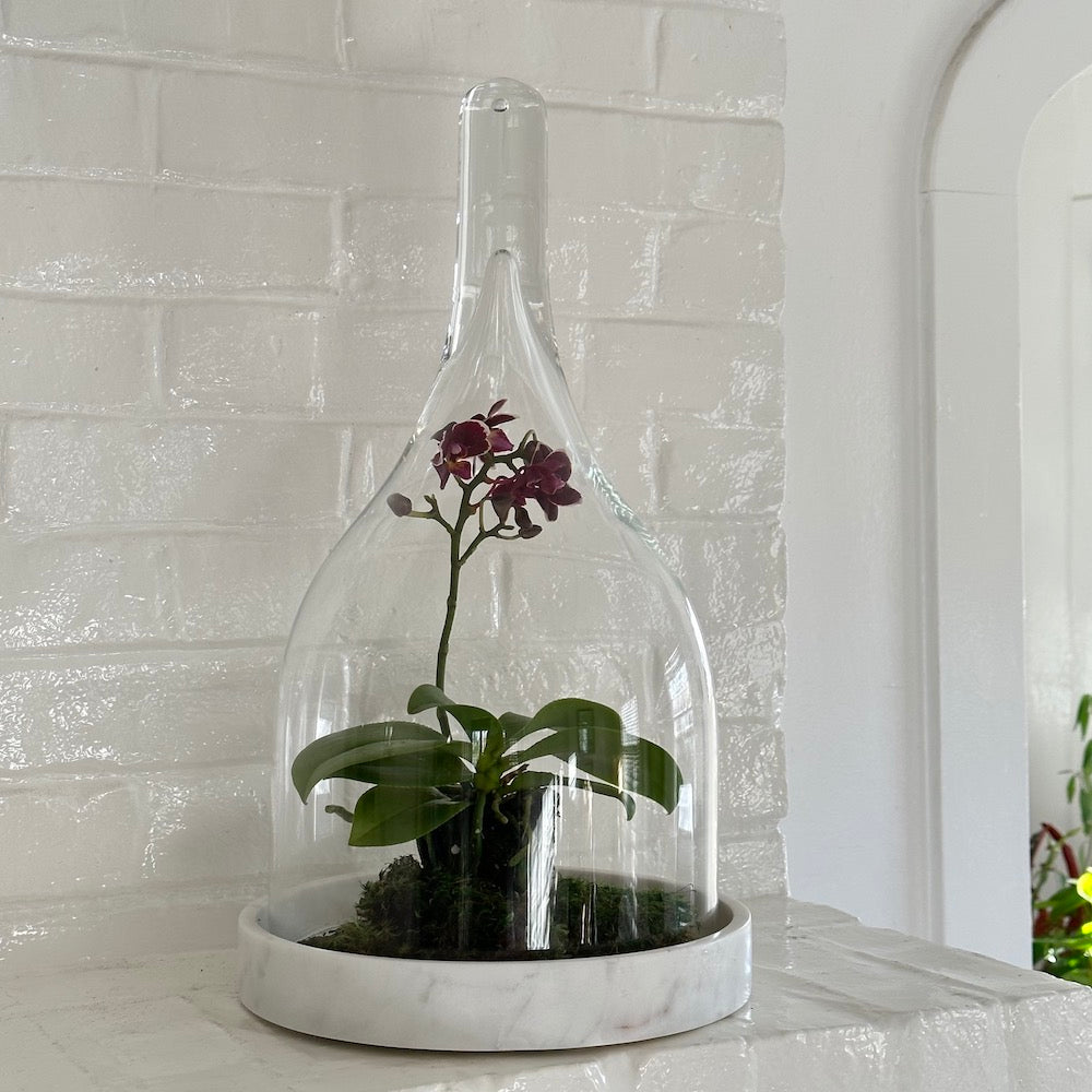 White Marble Cloche Base - Bloomist