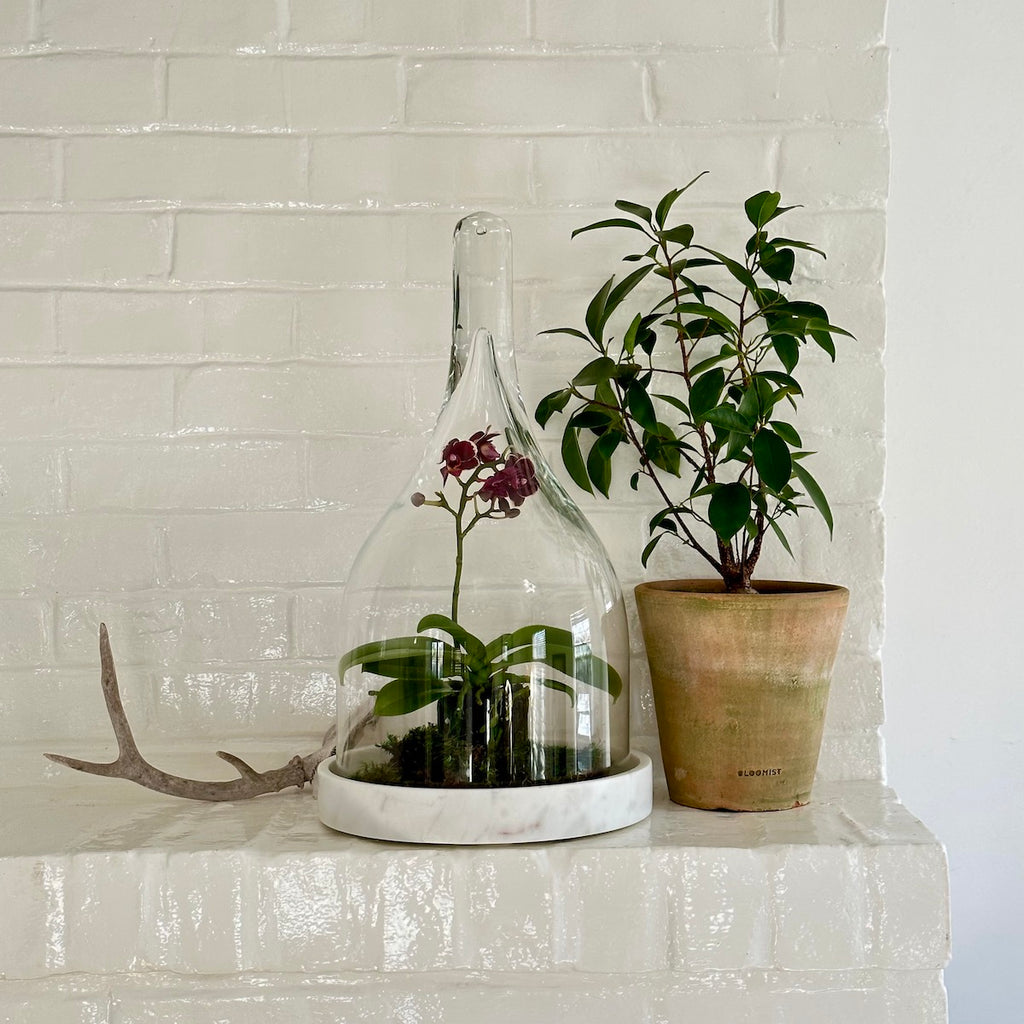 White Marble Cloche Base - Bloomist