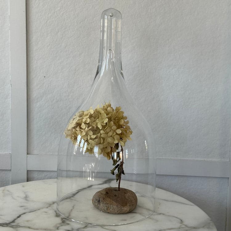Recycled Tear-Drop Glass Cloche + Wood Base Set - Bloomist