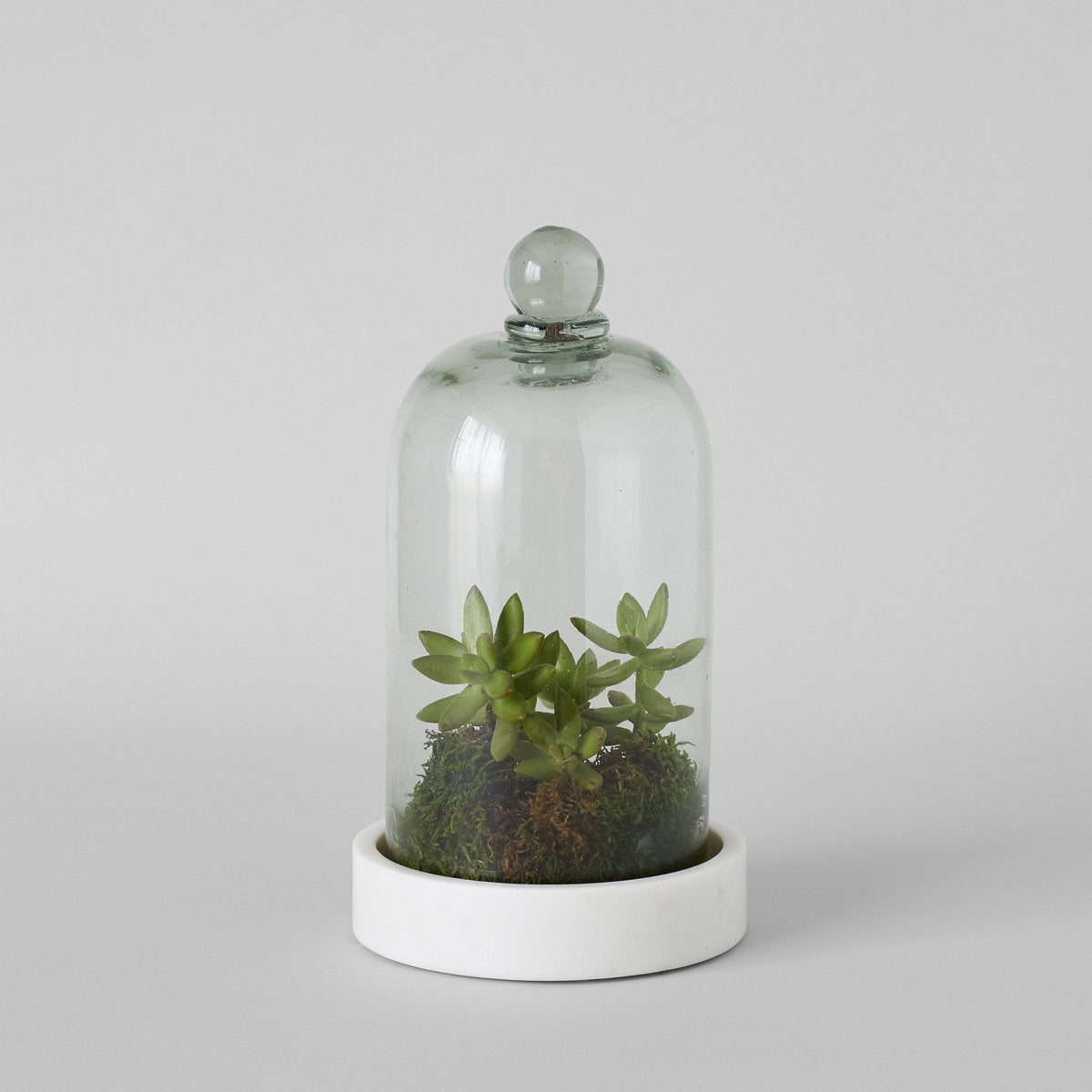 White Marble Cloche Base - Bloomist