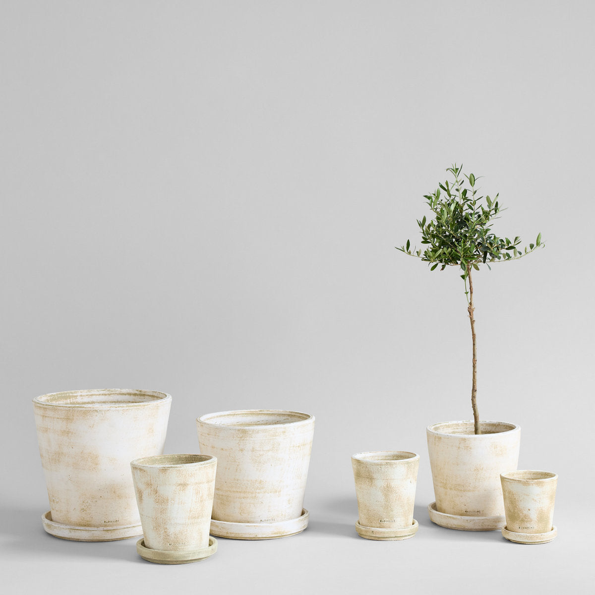 Basic Planter, White Patina - Bloomist