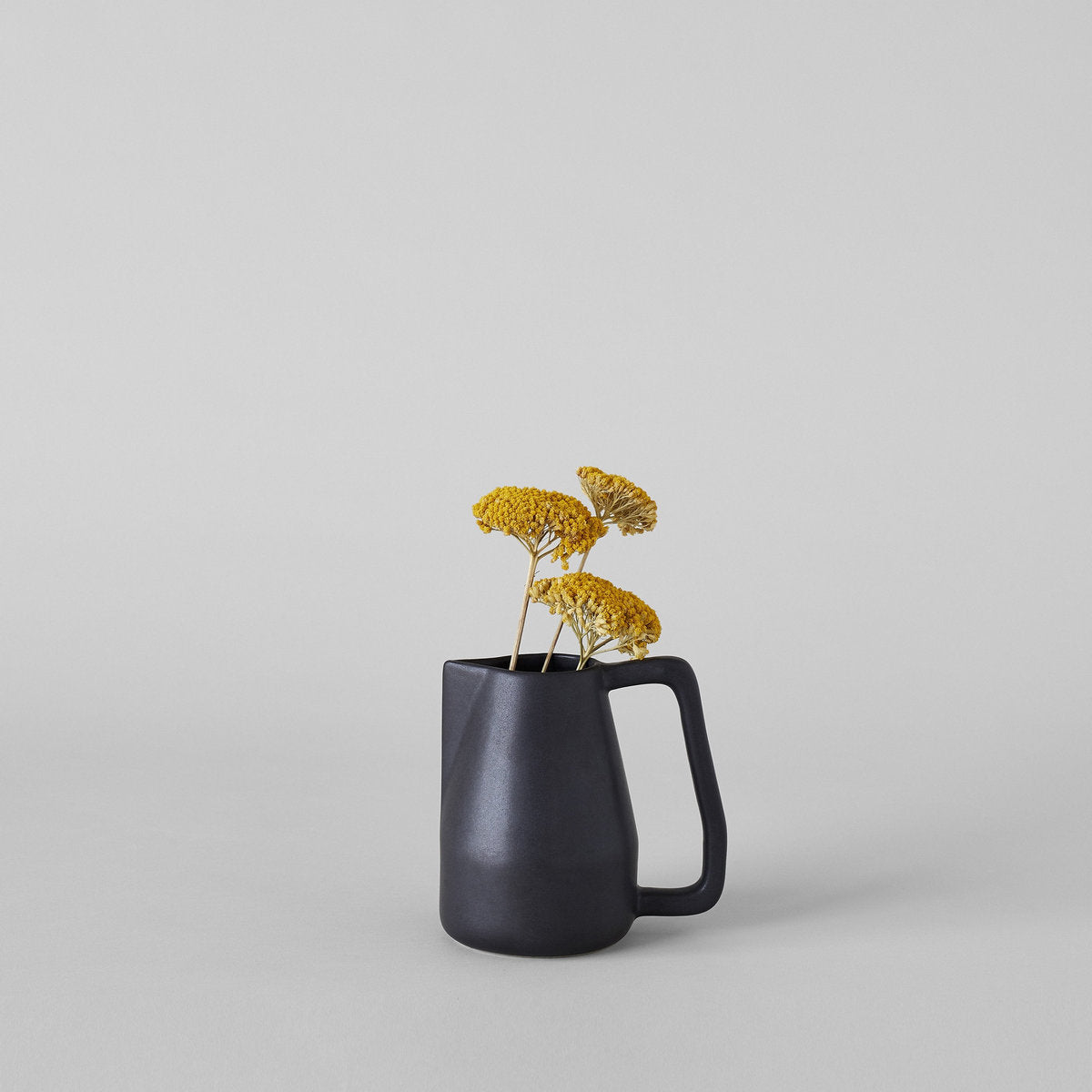 Novah Pitcher