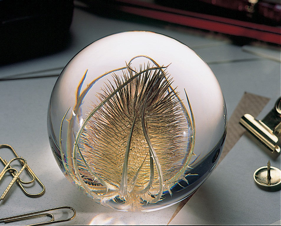 Botanical glass paperweight with a preserved golden thistle placed on a desk alongside paper clips and metal stationery