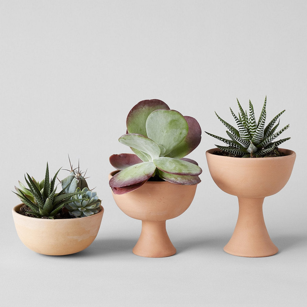 Half Sphere Terra Cotta Planter - Bloomist