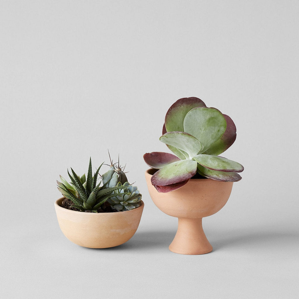 Half Sphere Terra Cotta Planter - Bloomist