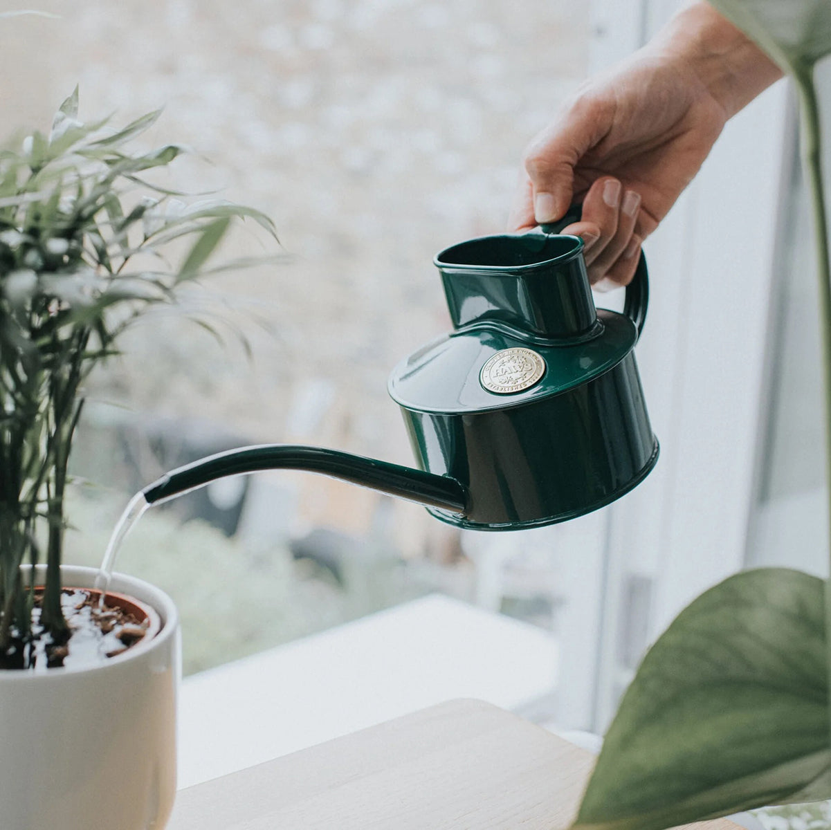 watering can for high indoor plants Haws Fazeley - Watering Can Sage Green
