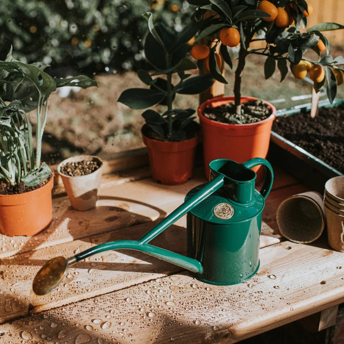 The Rowley Ripple Green 2 Pint Metal Watering Can | Haws