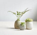 Terra Cotta Bud Vase, Greenwash - Bloomist