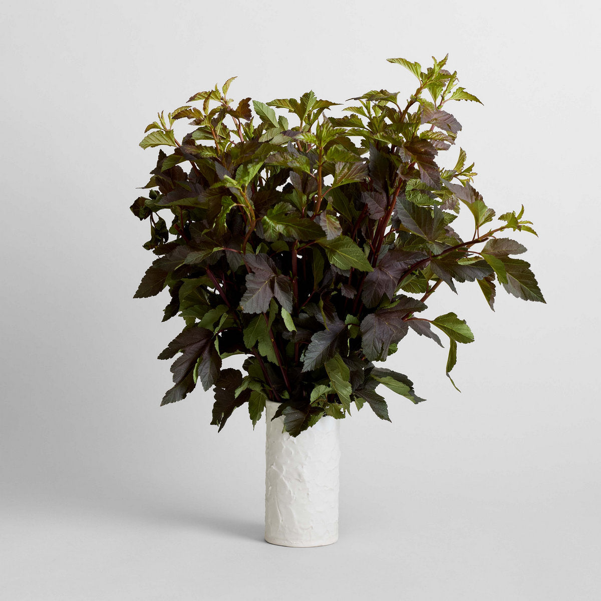 Flower vase with textured white porcelain and sculptural finish