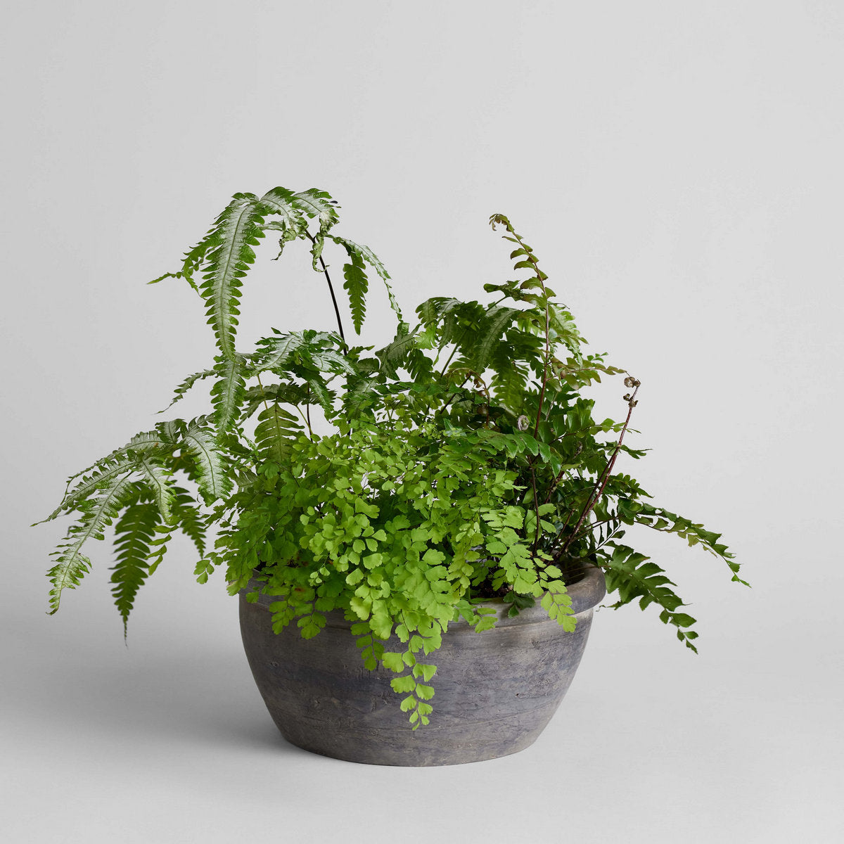 Vintage Grey Planter, Medium