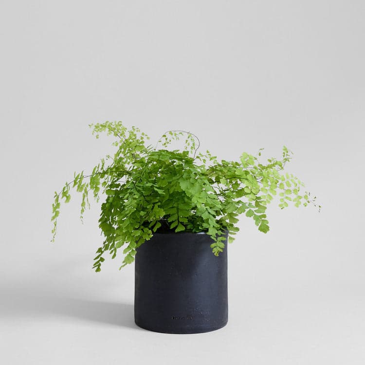 Modern Planter in Charcoal