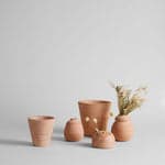 Terra Cotta Frog Vases - Bloomist