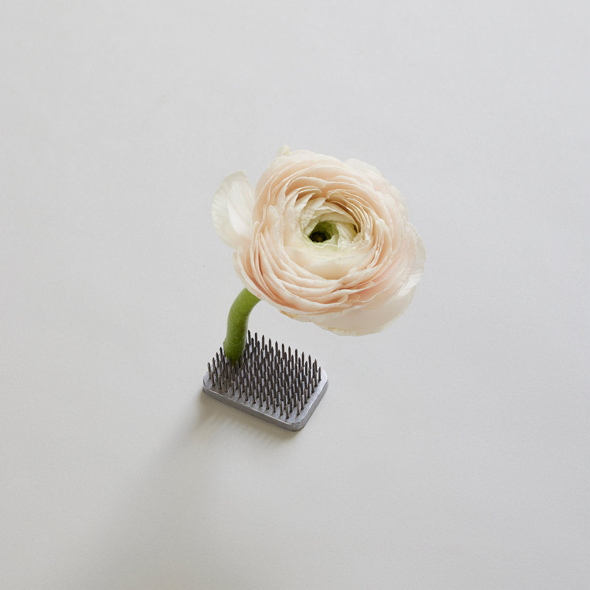 Flower frog for arranging stems in shallow bowls and vases