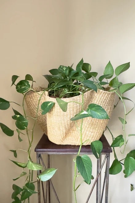 indoor plant woven basket Hand Woven Natural Wave Basket | Hand Woven Baskets