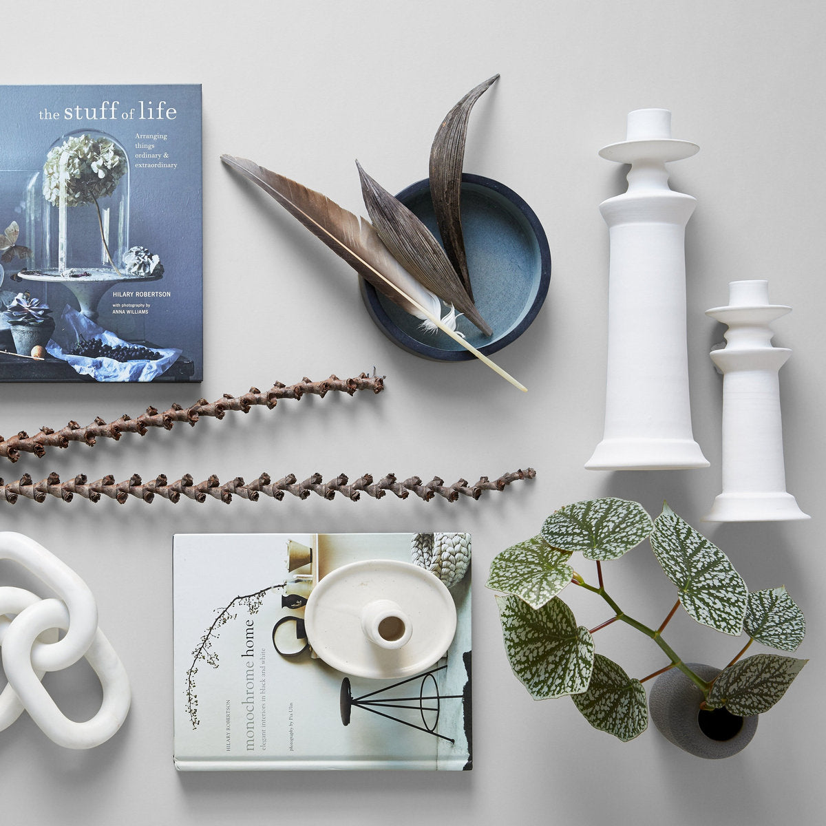 Palm paddles styled on surface with books, ceramic objects, and modern home accents