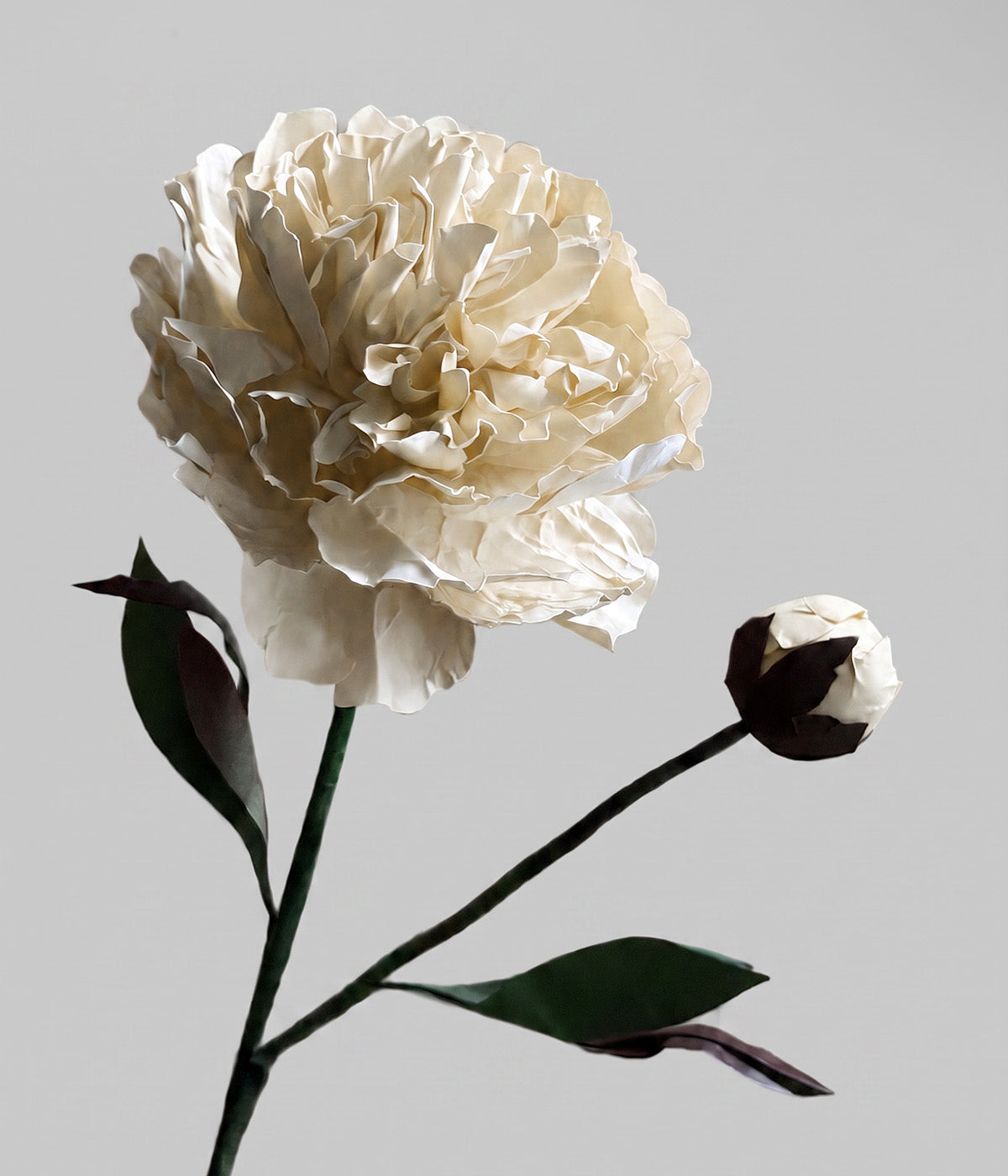 Close-up_of_handmade_white_paper_peony_with_layered_ivory_petals_and_matching_bud