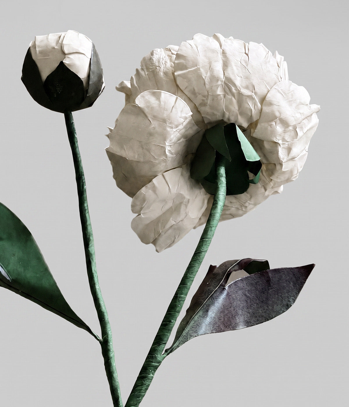 Back view of white paper peony showing hand-shaped petals, green stem, leaves, and bud