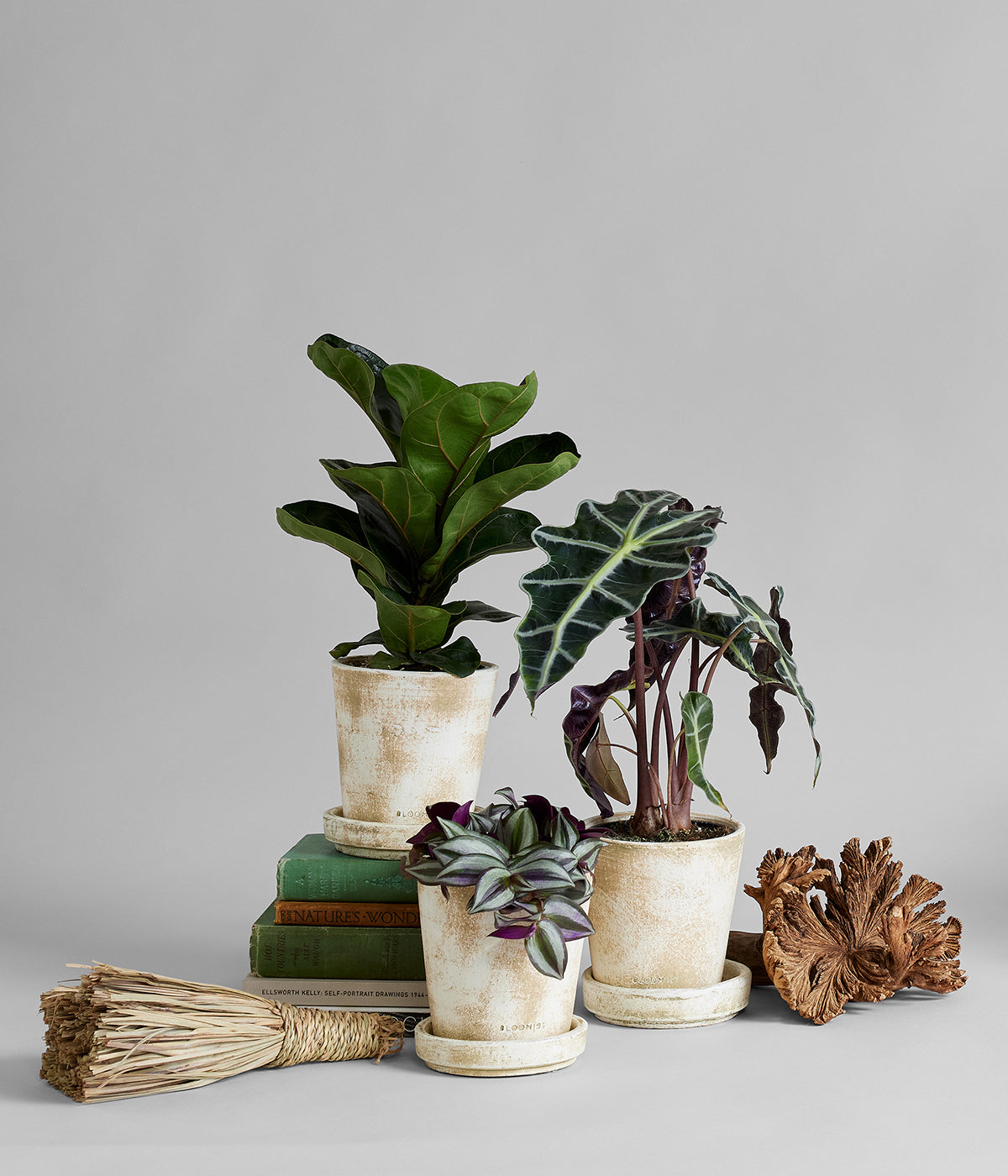 hand thrown plant pots White Patina Planters and Trays Bundle