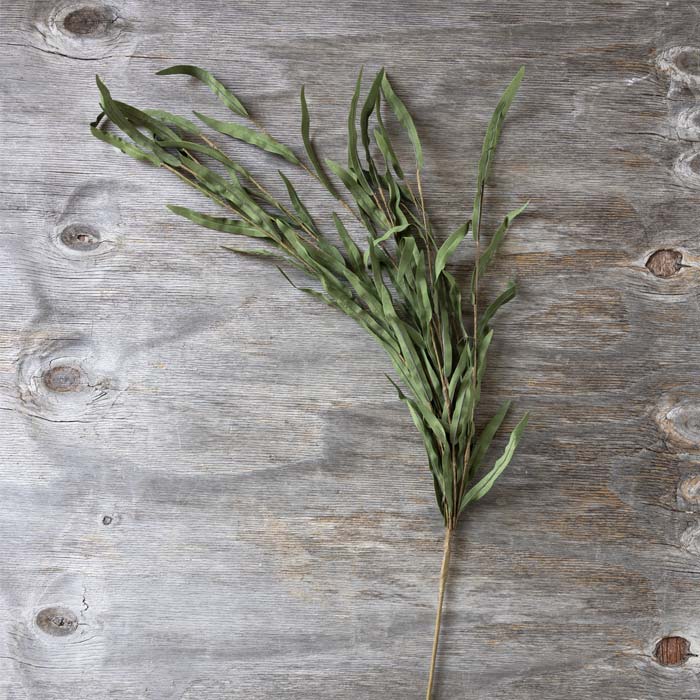 Faux Willow Branch Stem in jade with long, narrow green fabric leaves arranged on a weathered wood surface.
