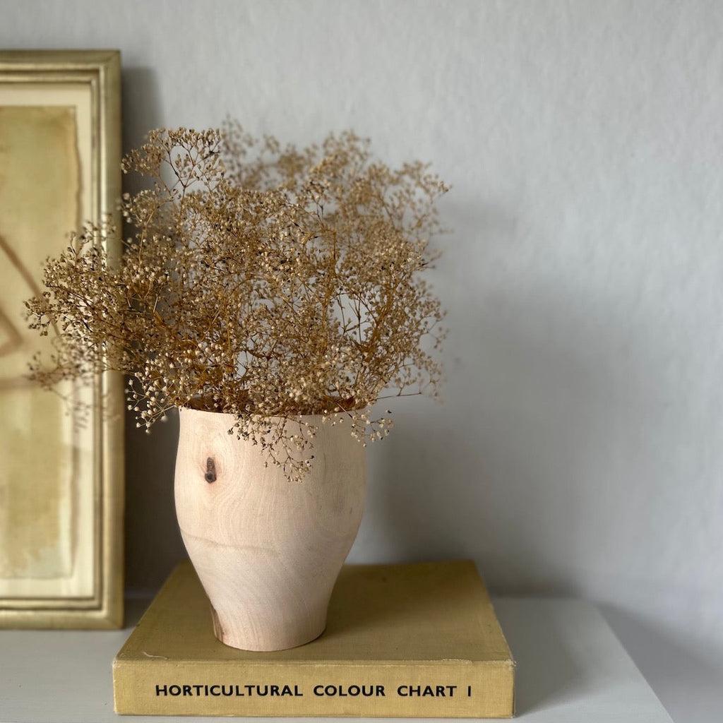 Preserved Baby's Breath, Natural