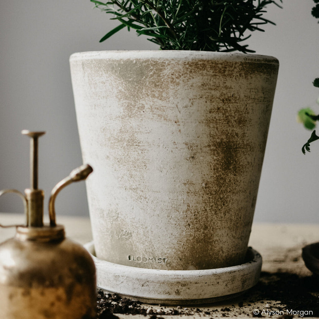 Basic Planter, White Patina - Bloomist