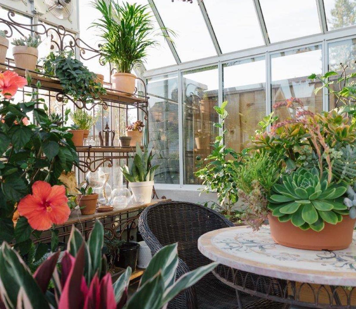 indoor greenhouse for plants The Bloomist Greenhouse