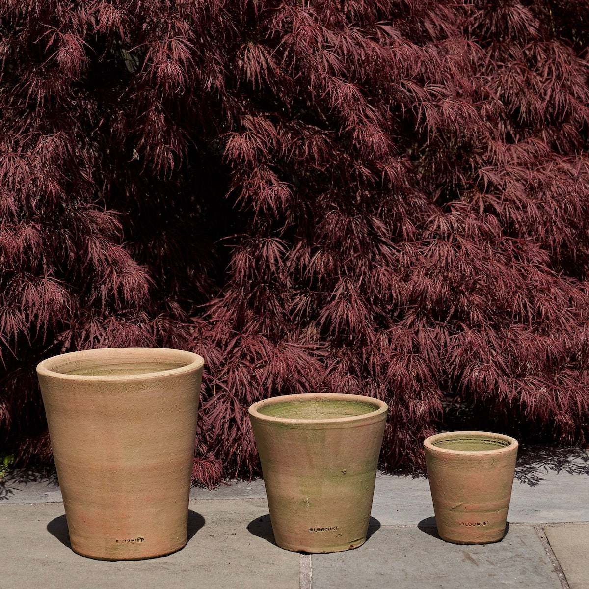 Greenwashed Terracotta Studio Planter | Bloomist - Large